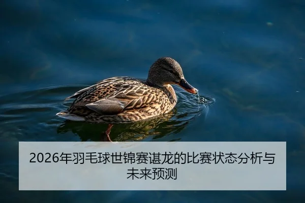 2026年羽毛球世锦赛谌龙的比赛状态分析与未来预测