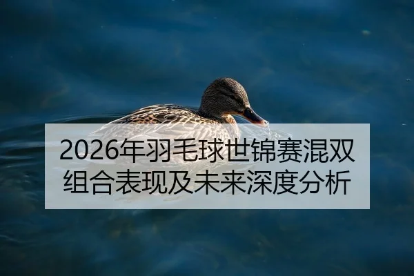 2026年羽毛球世锦赛混双组合表现及未来深度分析