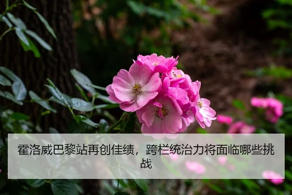 霍洛威巴黎站再创佳绩，跨栏统治力将面临哪些挑战