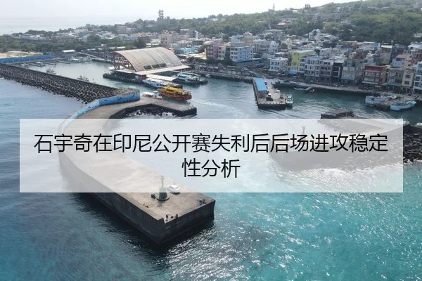 石宇奇在印尼公开赛失利后后场进攻稳定性分析