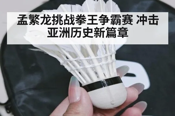 孟繁龙挑战拳王争霸赛 冲击亚洲历史新篇章